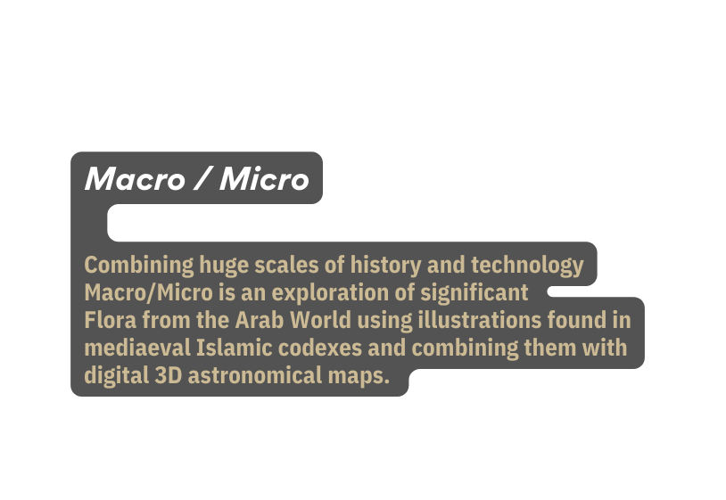 Macro Micro Combining huge scales of history and technology Macro Micro is an exploration of significant Flora from the Arab World using illustrations found in mediaeval Islamic codexes and combining them with digital 3D astronomical maps